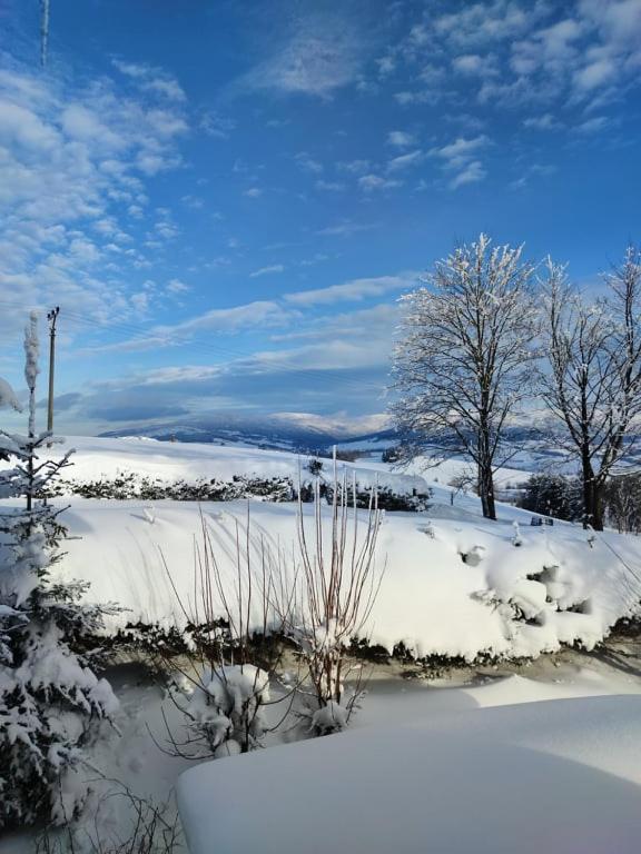 Hotel Kacenka กราลิกี ภายนอก รูปภาพ